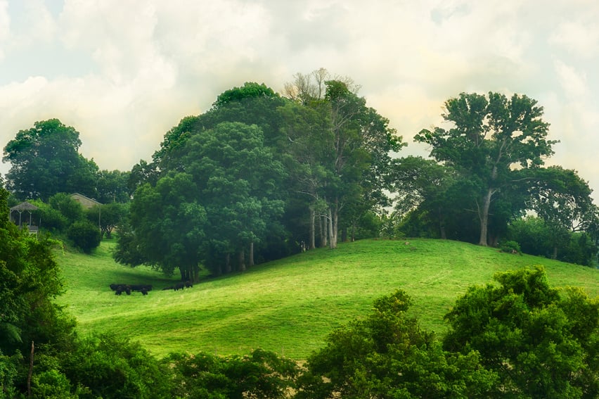 Scenic Landscape View along the Tennesse River